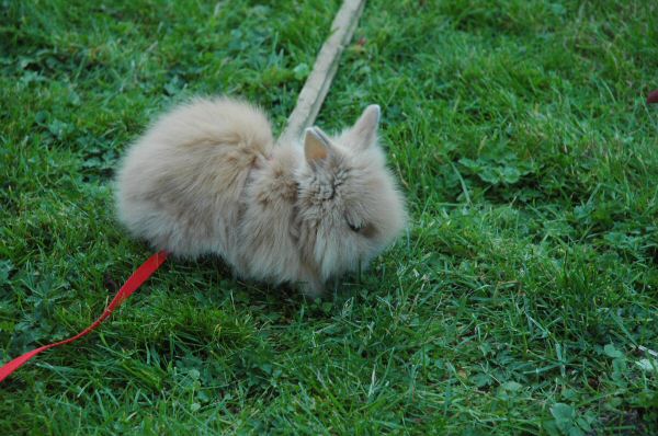 DSC_8292.jpg