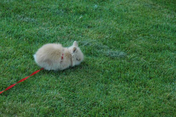 DSC_8303.jpg