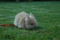 DSC_8305.jpg