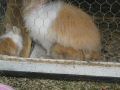 IMG_2484.jpg