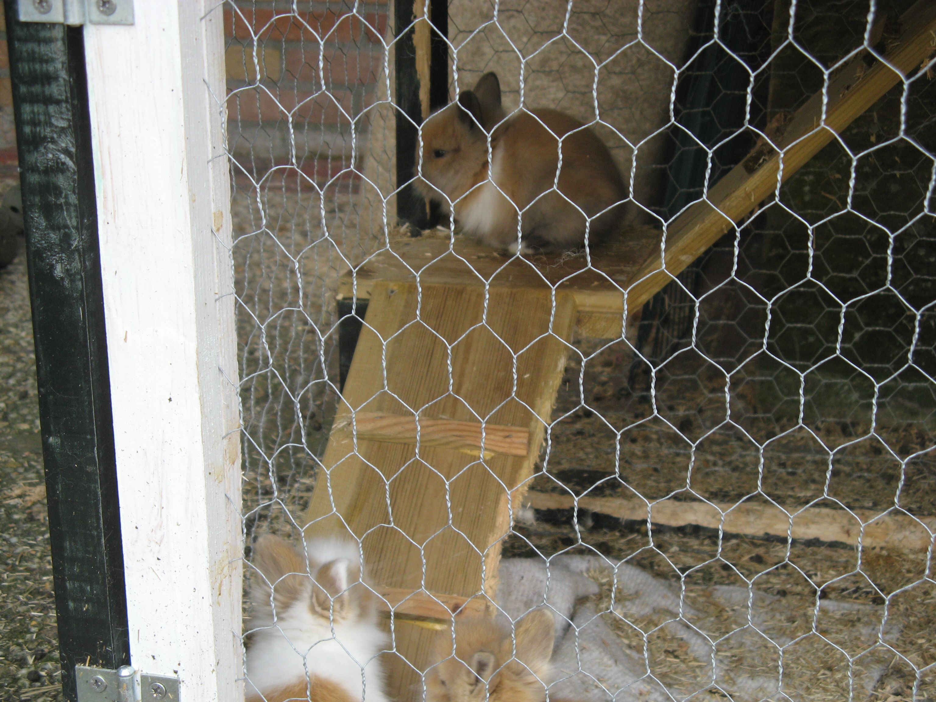IMG_2485.jpg